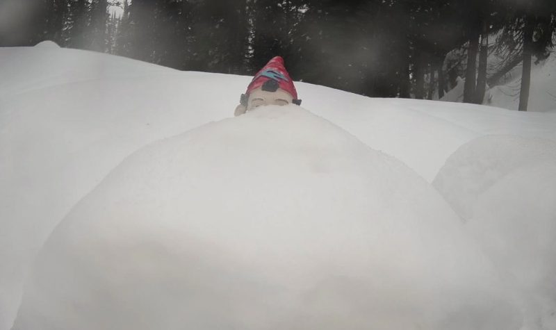 A closeup of a white snowbank with a gnome showing at the top of the bank. Only the eyes and red hat of the gnome is visible. There are trees behind the snowbank.