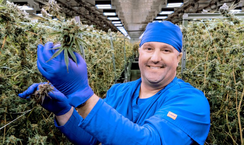 Top grower Jake Ward shows some of his prize winning cannabis