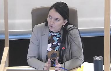 A woman sitting at a microphone around a council table, talking.