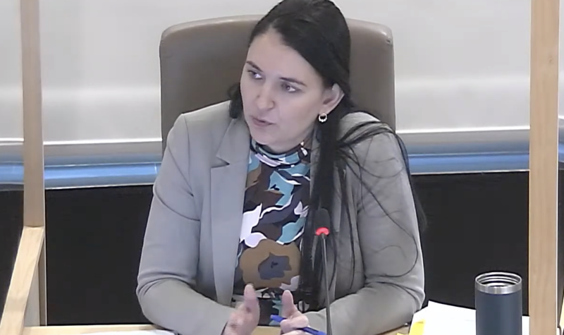 A woman sitting at a microphone around a council table, talking.