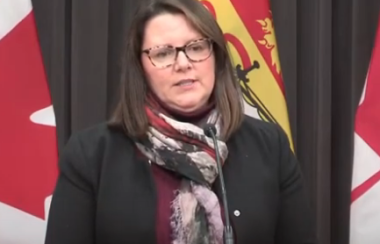 NB Chief Medical Officer of Health Jennifer Russell  addresses reporters November 20, 2020.
