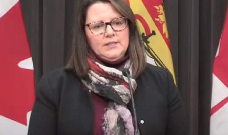 NB Chief Medical Officer of Health Jennifer Russell  addresses reporters November 20, 2020.