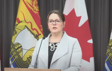 Jennifer Russell vêtue d'une veste grise devant un drapeau du Canada et du Nouveau-Brunswick