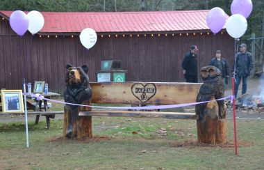 A photo of a rustic wooden bench with a carved bear on one end and an owl on the other with purple and white balloons.