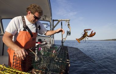 Les pêcheurs auront jusqu'au 18 octobre pour déposer une demande. - Photo tirée du site web cbj.ca