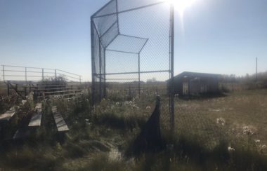 Overgrown grass is shown at a baseball diamond that has been left unmatenenced for a long time. Grass grows over the bleachers, into the batting cage, and through the diamond itself. Weather is clear.