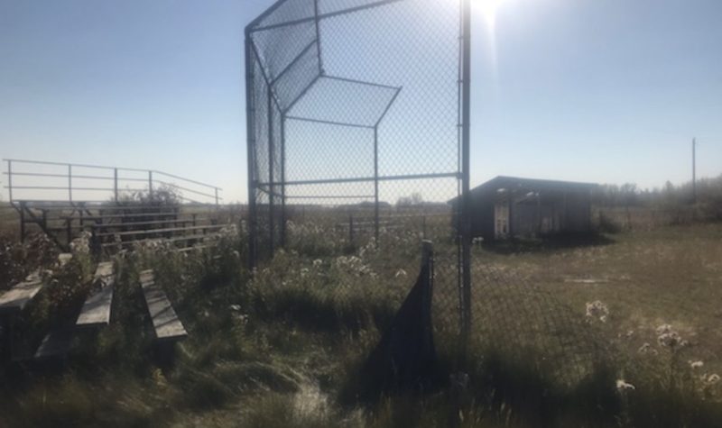 Overgrown grass is shown at a baseball diamond that has been left unmatenenced for a long time. Grass grows over the bleachers, into the batting cage, and through the diamond itself. Weather is clear.