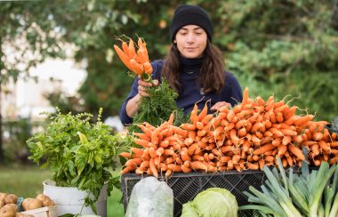 Pictured is a local farmer filling up their wheelbarrow full of freshly pick carrots.