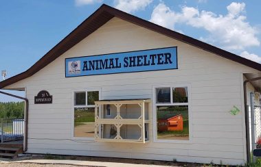 Un bâtiment blanc sur lequel est inscrit en bleu « Animal Shelter ». Il y a une cage sur le côté du bâtiment avec deux fenêtres de chaque côtés de la cage.