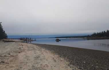 A sand and gravel beach at low tide, with distant pilings, overcast sky