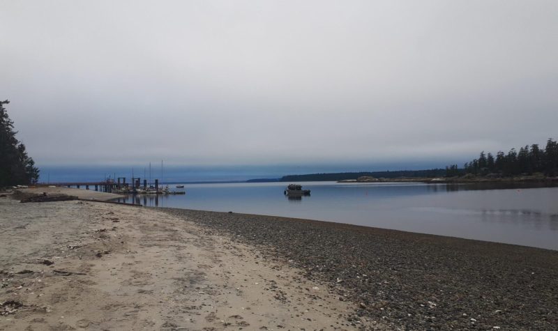 A sand and gravel beach at low tide, with distant pilings, overcast sky