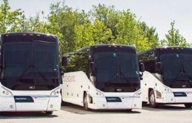 Three coach-style buses are shown from the front in front of trees.