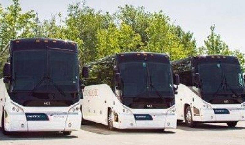 Three coach-style buses are shown from the front in front of trees.