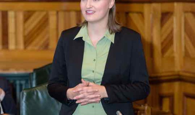 MLA Megan Mitton stands in the legislature in New Brunswick