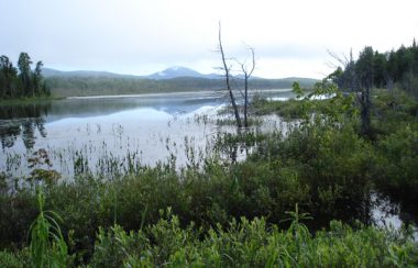 The Millington Bog surrounded by greenery. Mountains can be seen in the distance.