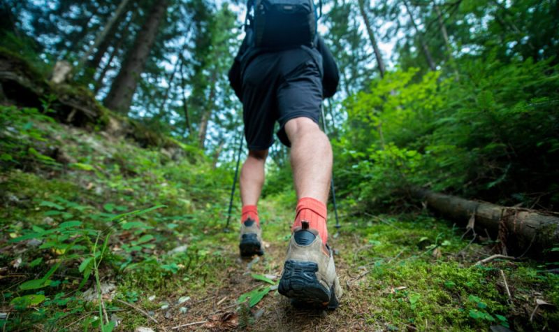 Une personne parcourt un chantier raboteux dans la forêt.