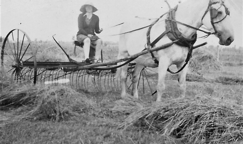 An old black and white photo shows a woman, Lillian Morrow, in a floppy hat riding a hay rake being pulled by a white horse.
