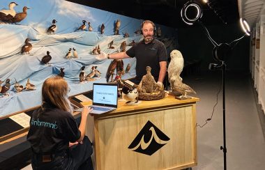 Des employés du musée tournent une vidéo sur les oiseaux
