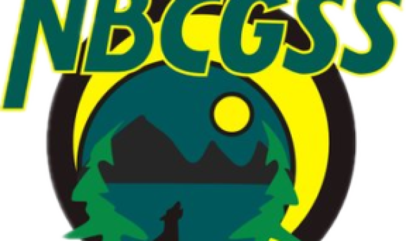 Yellow and green logo for the NBCGSS