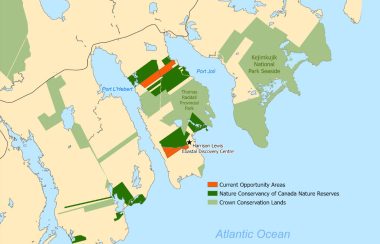 A map of Port Joli, Nova Scotia and surrounding area