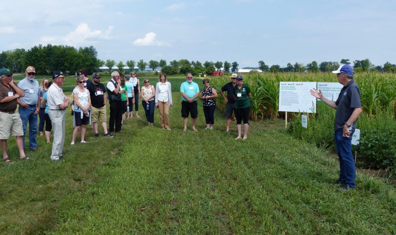 Ontario Soil and Crop Improvement Association educating at an OSCIA Summer Meeting. A man demonstrates and gestures in front of a large green field ripe with crops.