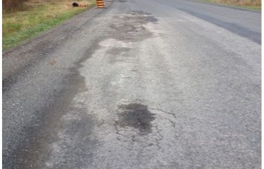 A grey corroded and worn out road surface is foregrounded in most of the image. Darker stains and scoring are scattered throughout. A gravel border exists on the left side with green and yellow vegetation on the far left side. Further off are larger yellow and black traffic pylons.