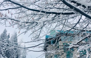 View of a UNBC building through a snowy branch on a grey winter day.