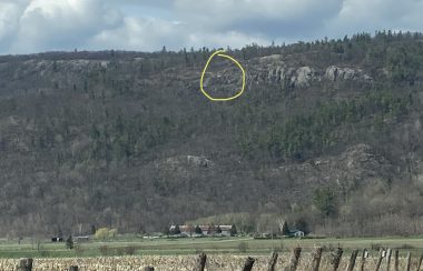 An escarpment covered in trees with a fence in the foreground and the location of a paraglider accident circled in yellow.