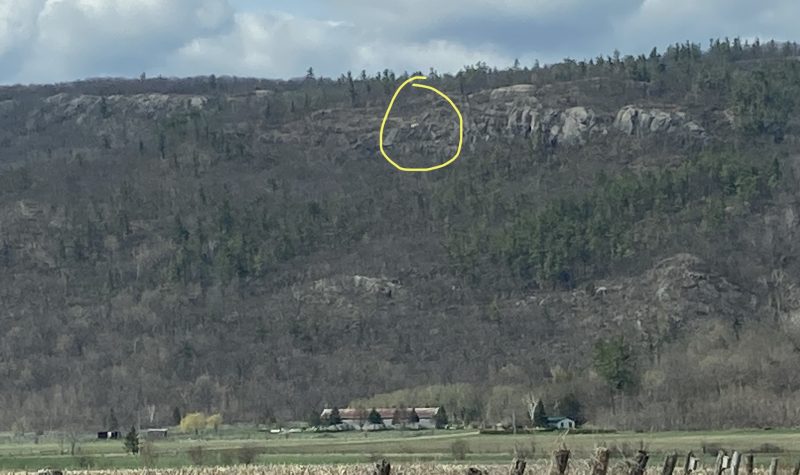 An escarpment covered in trees with a fence in the foreground and the location of a paraglider accident circled in yellow.