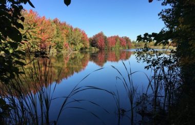 Un lac bordé d'un paysage d'automne au parc des Étangs Antoine-Charlebois à Sainte-Julie.