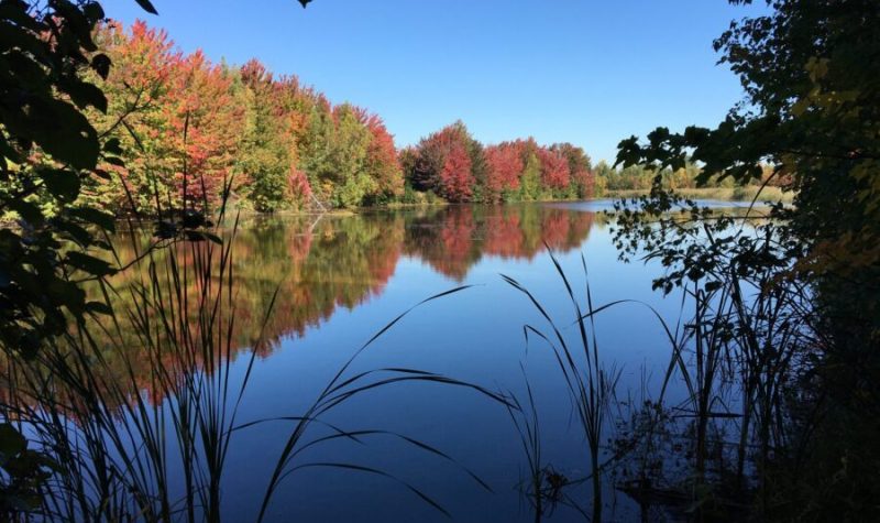 Un lac bordé d'un paysage d'automne au parc des Étangs Antoine-Charlebois à Sainte-Julie.