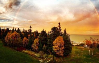 Ciel nuageux de couleur jaune et rose, arbres varié de couleurs rouge, jaune et vert, fleuve au loin et gazon devant