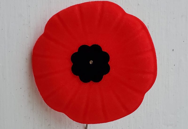 A poppy with a black centre is seen against a white background