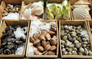 Photo of shellfish for sale at market