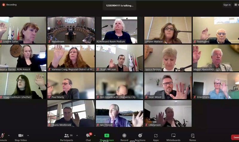 Screenshot of people in a zoom meeting raising their hands to vote