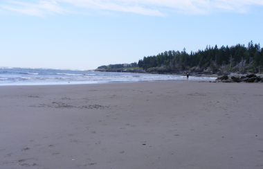 Une plage par temps clair, une Coline boisée surplombe la mer a droite, le sable est assez sombre, la mer est agitée.