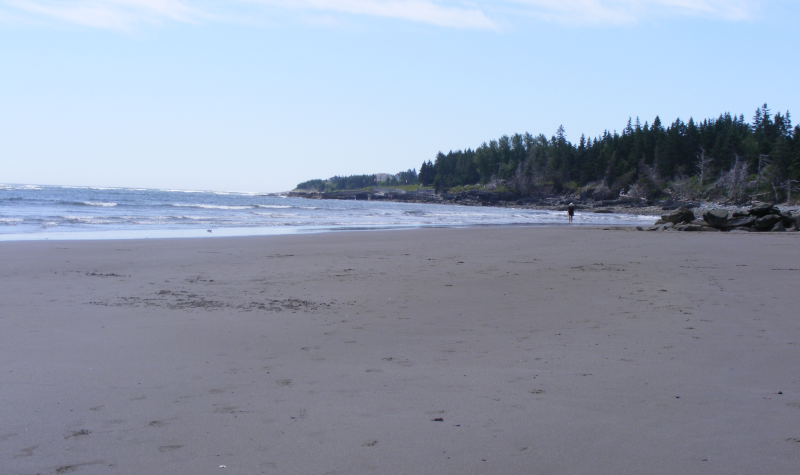 Une plage par temps clair, une Coline boisée surplombe la mer a droite, le sable est assez sombre, la mer est agitée.