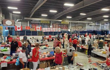 People decked out for Canada Day peruse a flea market.