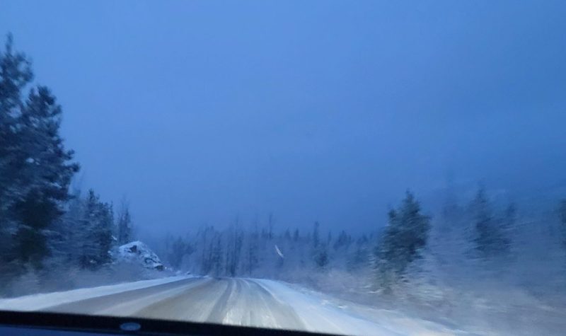 A snowy road at nighttime with trees on the side