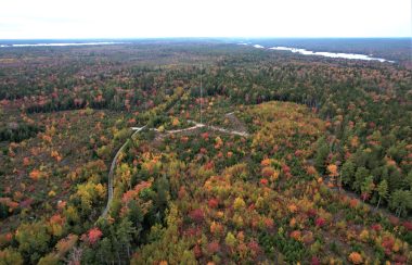 A tower in the middle of a forest is viewed from above