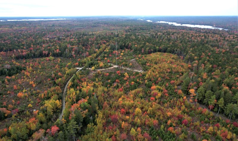 A tower in the middle of a forest is viewed from above