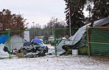 Tents and tarps behind a fence on snowy ground in front of a stand of trees.