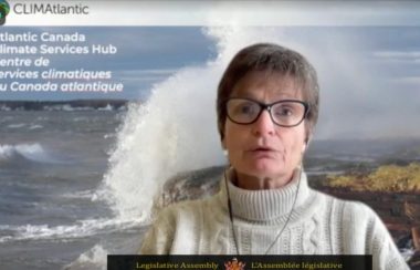 A woman wearing a white turtleneck sweater and glasses speaks in front of a background showing a wave crashing against a shore.