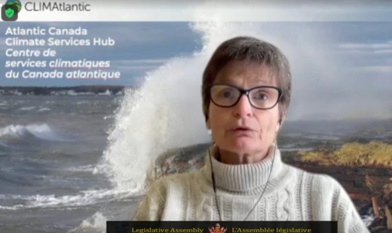 A woman wearing a white turtleneck sweater and glasses speaks in front of a background showing a wave crashing against a shore.