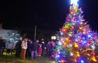 A large Christmas tree under a dark night sky. The tree is covered with coloured lights and a star on top. Next to the tree are people in winter coats.