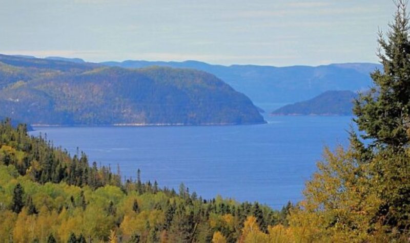 Paysage extérieur d'un ciel dégagé, de plusieurs montagnes au loin, le Fjord du Saguenay au centre et des arbres au devant de l'image.