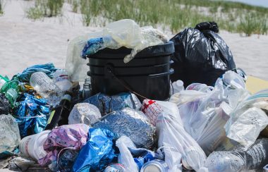 Des sacs en plastique sur une plage