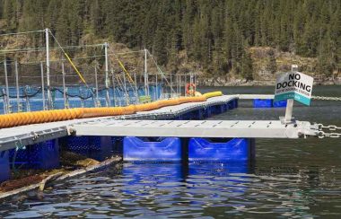A salmon fish farm is seen off an island in BC on a sunny day.