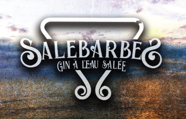 L'affiche du nouvel album de Salebarbes