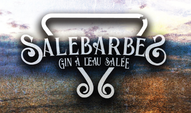 L'affiche du nouvel album de Salebarbes